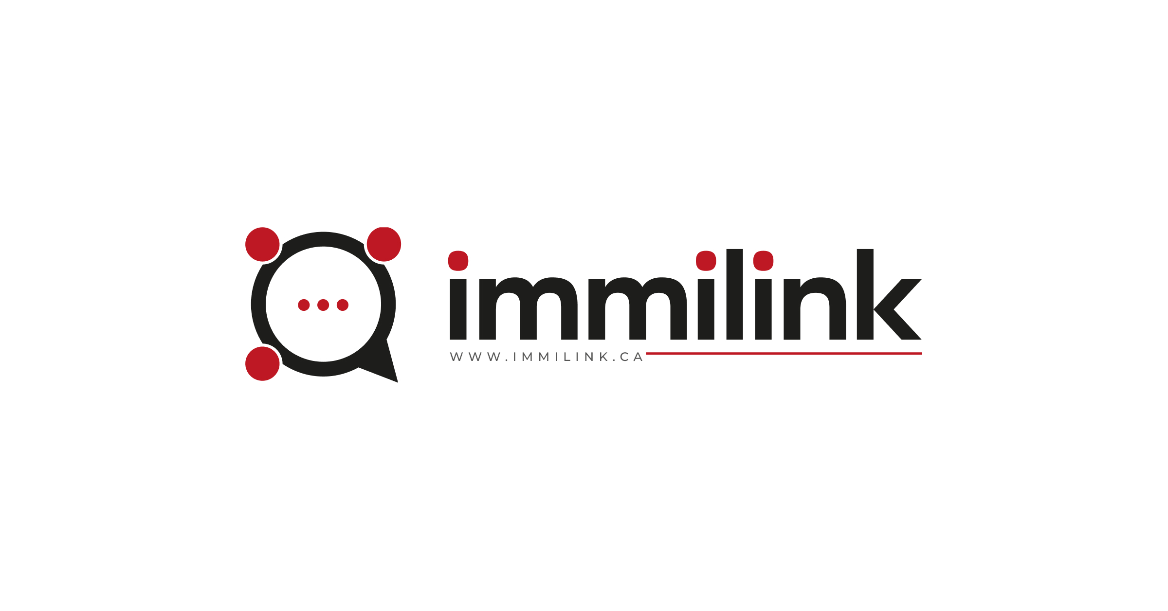 Immilink About Us
